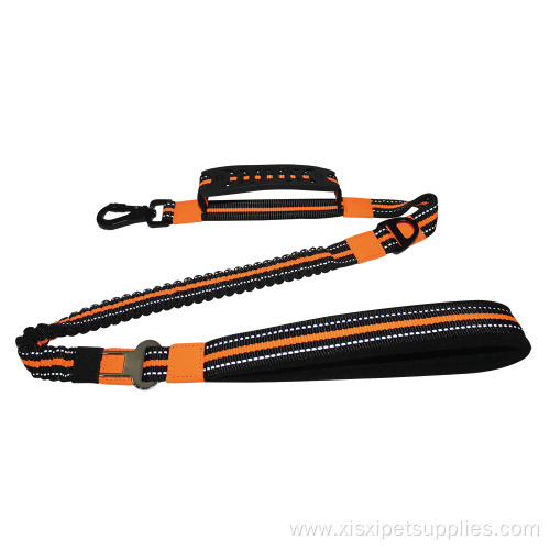 Eco-Friendly Dog Leash with heavy duty hook